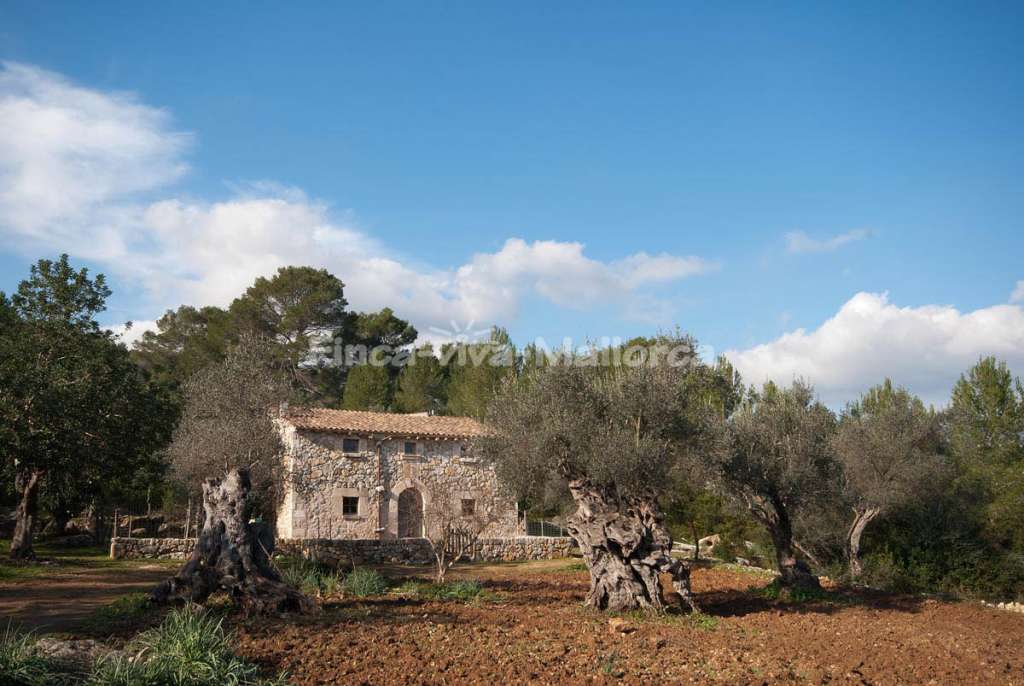 Finca Guillonet Pollenca