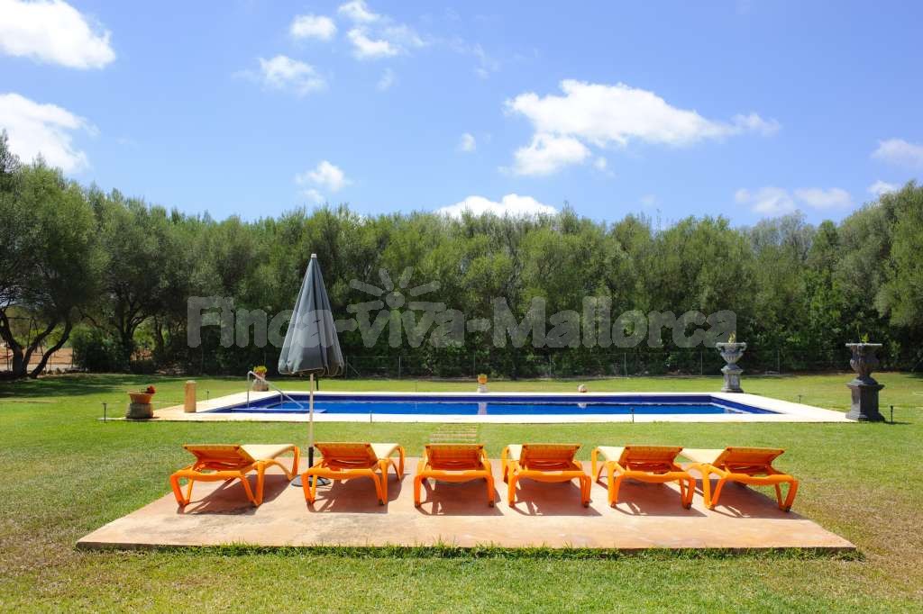 Finca Gallicant
