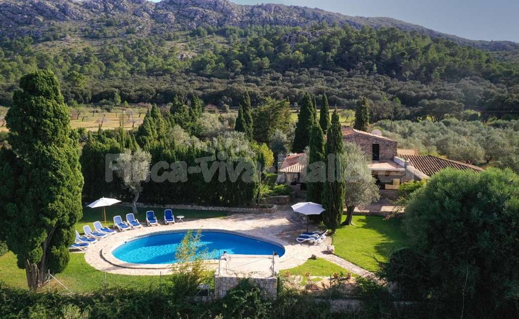 Finca Martollet