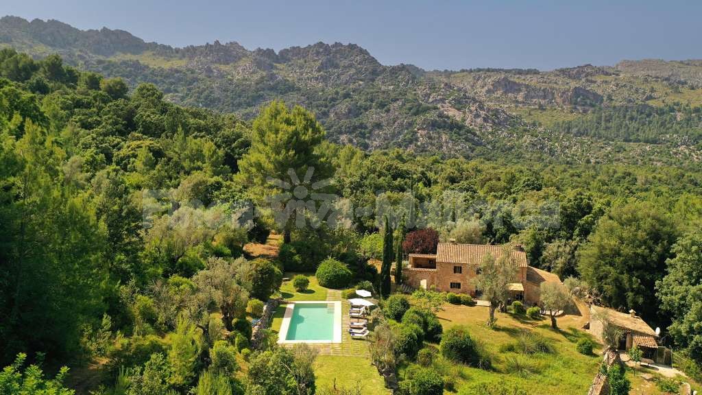 Finca Pascol