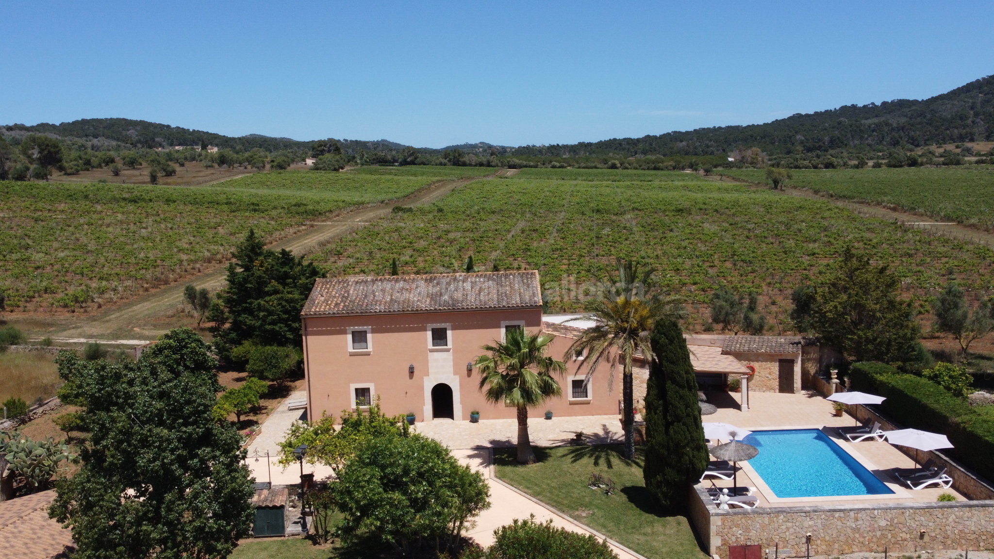 Fincas in Son Macia