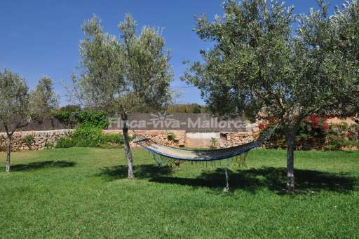 Finca Taula Santanyi