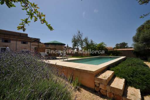 Finca Lorita Santanyi, Pool, Sonnenschirm, Sonnenliege, Garten
