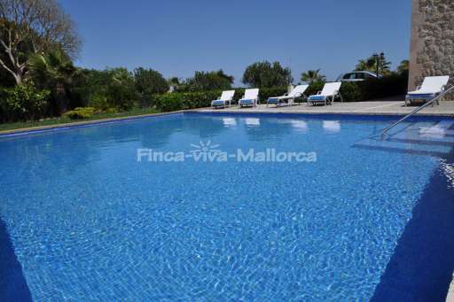 Finca Palmeral Petra