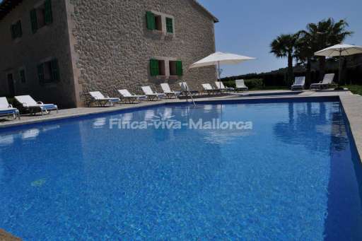 Finca Palmeral Petra