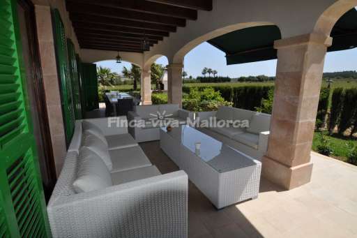 Finca Palmeral Petra