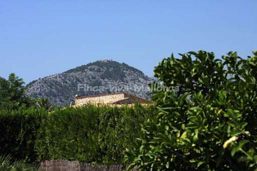 Finca Magraner Paquita Pollenca
