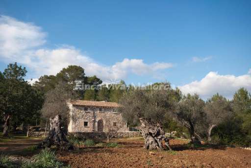 Finca Guillonet Pollenca
