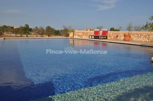 Finca Corima, Pool, Sonnenliege