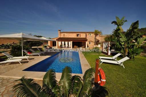 Finca David