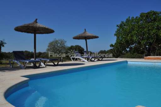 Finca Escala, Pool, Sonnenschirm