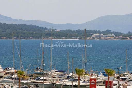 App Tango Port de Pollenca