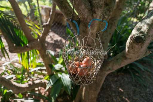 Finca Alegre Romantica