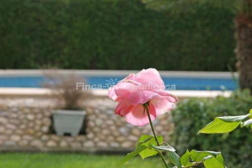 Casa Montana Pollenca