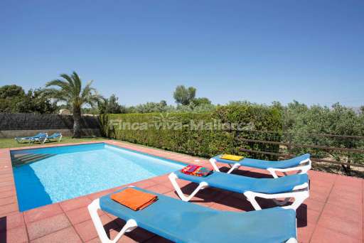 Finca Gabriel Alcudia