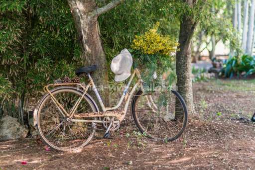 Finca Alegre Romantica