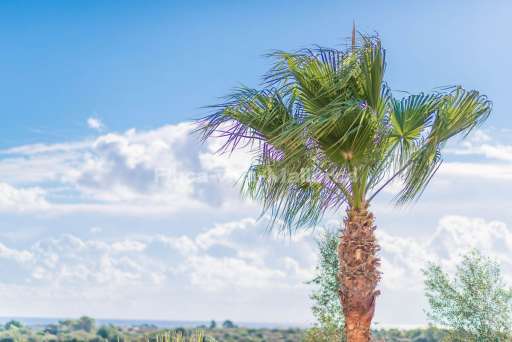 Finca Alegre Romantica