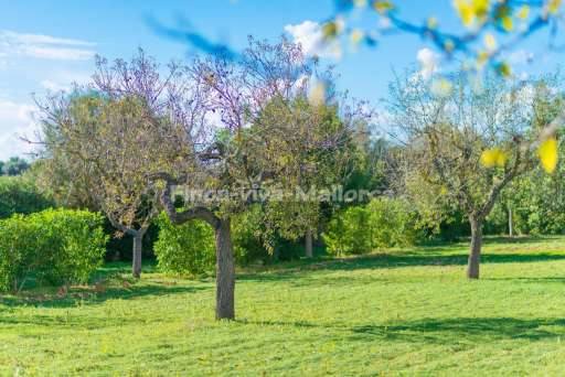 Finca Alegre Romantica