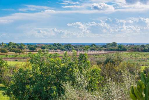 Finca Alegre Romantica