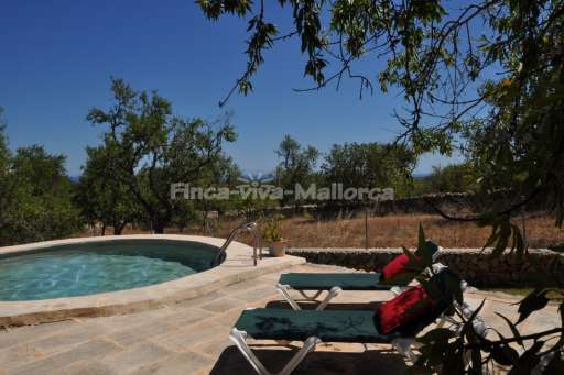 Casita Turita, Pool, Sonnenliege