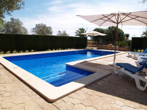 Finca Palmera Solitaria