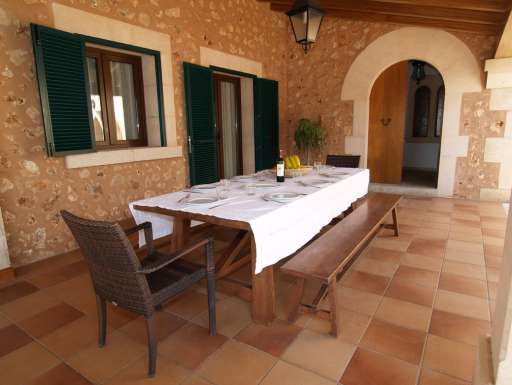 Finca Palmera Solitaria