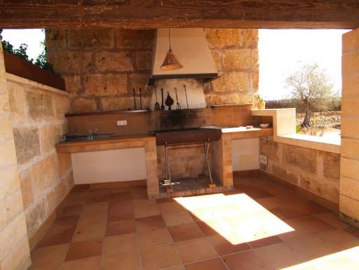 Finca Palmera Solitaria