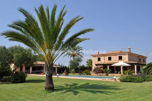 Villa Serena, Garten, Haus, Palme