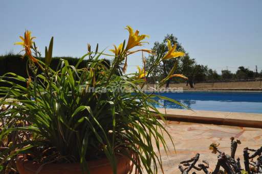 Casa Galerins, Pool, Blume