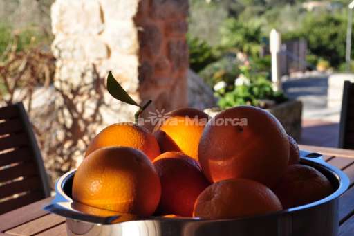 Finca Hermosa de Muro, Orange, Obstkorb