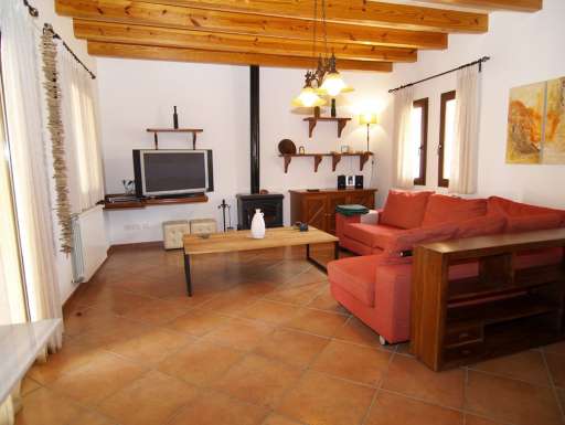 Finca Palmera Solitaria