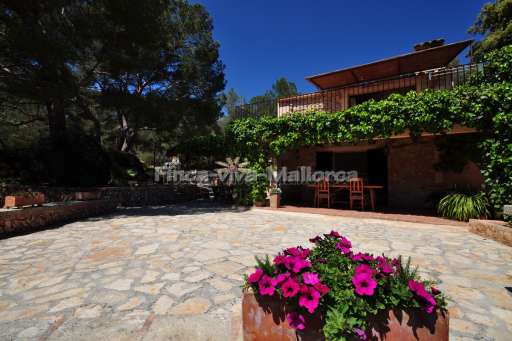 Finca Tesoro Vall d'Or