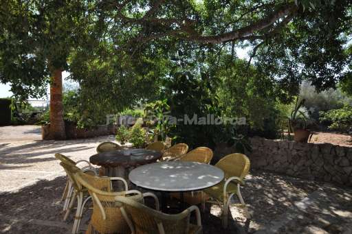 Finca Grande, Sitzmöglichkeit