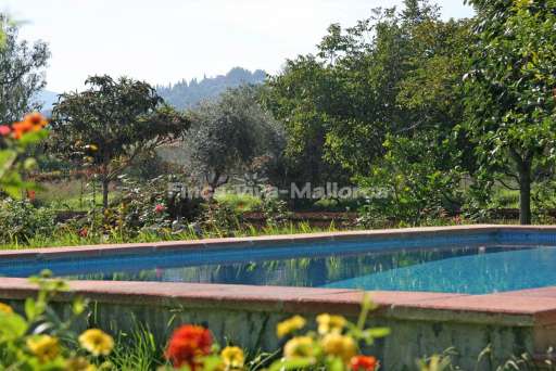 Finca Punxa Pollenca