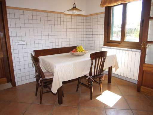 Finca Palmera Solitaria