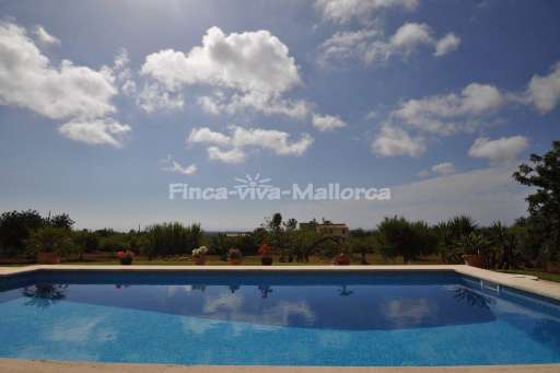 Finca Antonia, Pool