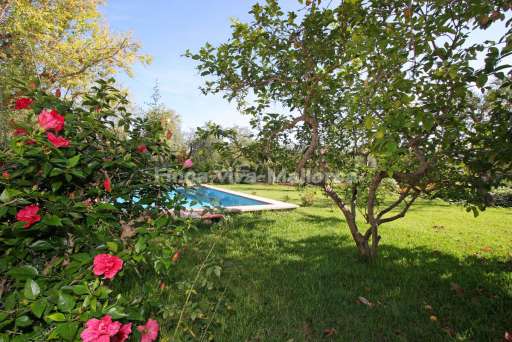 Finca Punxa Pollenca