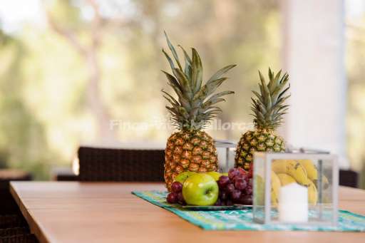 Villa Pinocha Portocolom