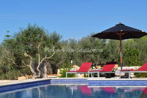 Casa Nova, Pool, Sonnenliege, Sonnenschirm