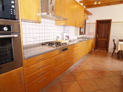 Finca Palmera Solitaria