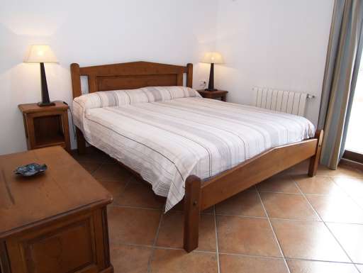 Finca Palmera Solitaria