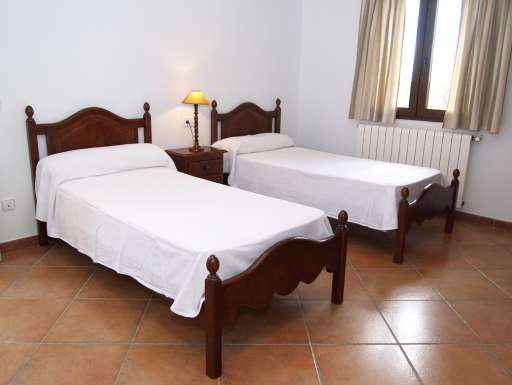 Finca Palmera Solitaria