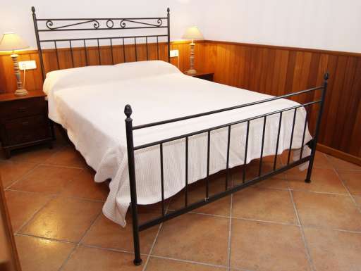 Finca Palmera Solitaria