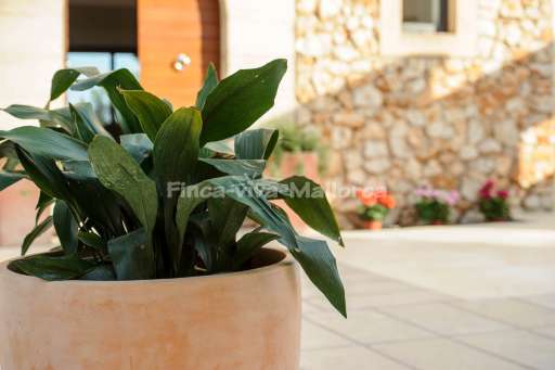 Villa Pinocha Portocolom