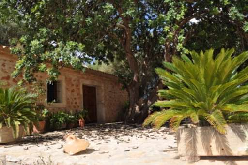 Finca Algarroba, Haus, Garten, schattig