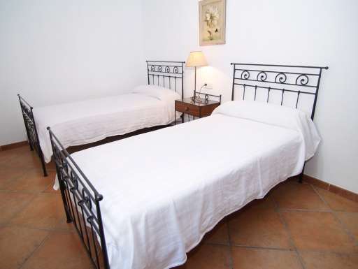 Finca Palmera Solitaria