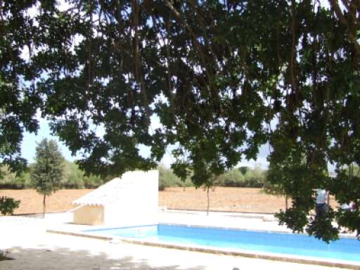 Finca Algarroba, Pool 