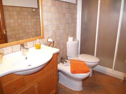 Finca Palmera Solitaria