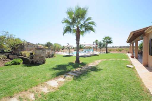 Finca Llanura Ses Salines