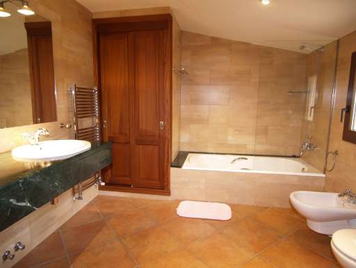 Finca Palmera Solitaria